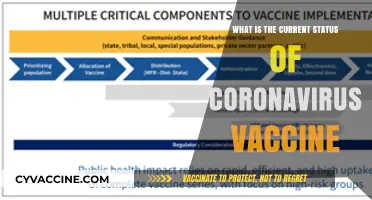Coronavirus Vaccine Update: Current Status, Distribution, and Global Impact