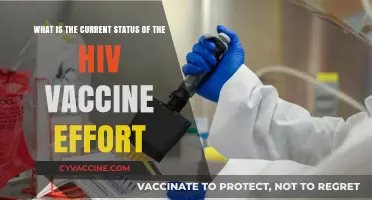 HIV Vaccine Progress: Current Status and Future Prospects
