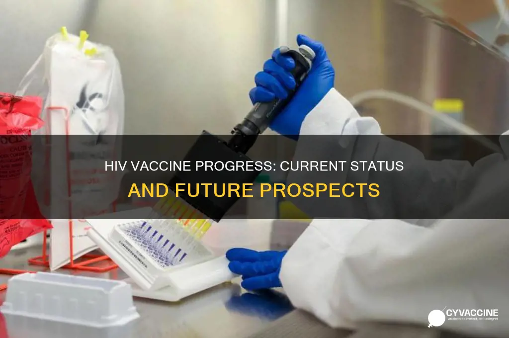 what is the current status of the hiv vaccine effort