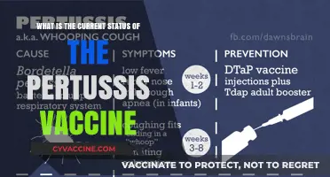 Pertussis Vaccine: Current Status, Effectiveness, and Global Impact