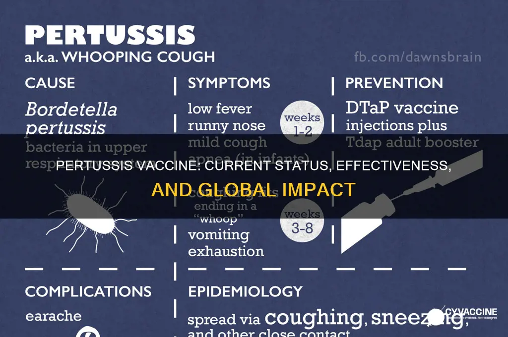 what is the current status of the pertussis vaccine