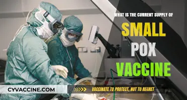 Current Smallpox Vaccine Supply: Availability, Distribution, and Global Preparedness
