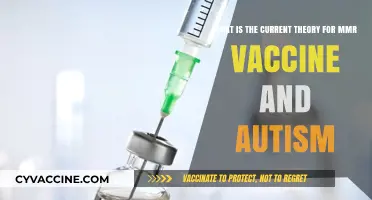 MMR Vaccine and Autism: Debunking Myths with Current Scientific Evidence