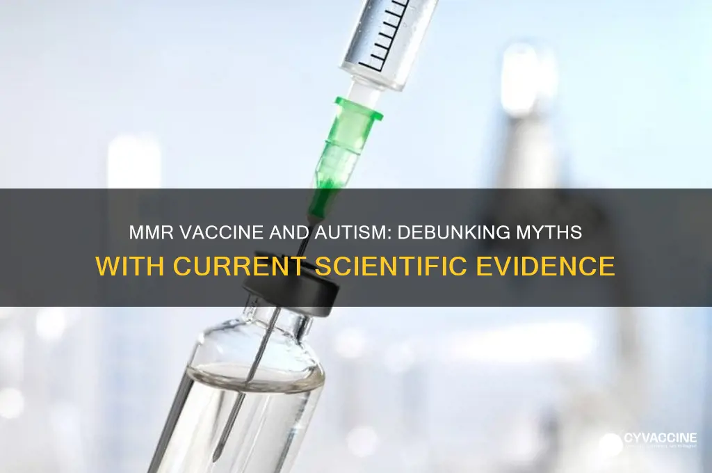 what is the current theory for mmr vaccine and autism