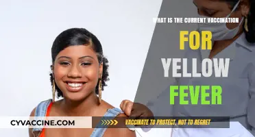 Current Yellow Fever Vaccination: Essential Protection and Global Requirements