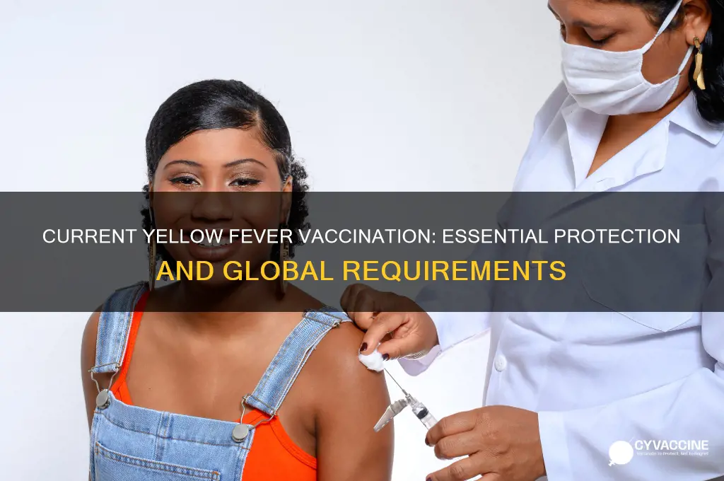 what is the current vaccination for yellow fever
