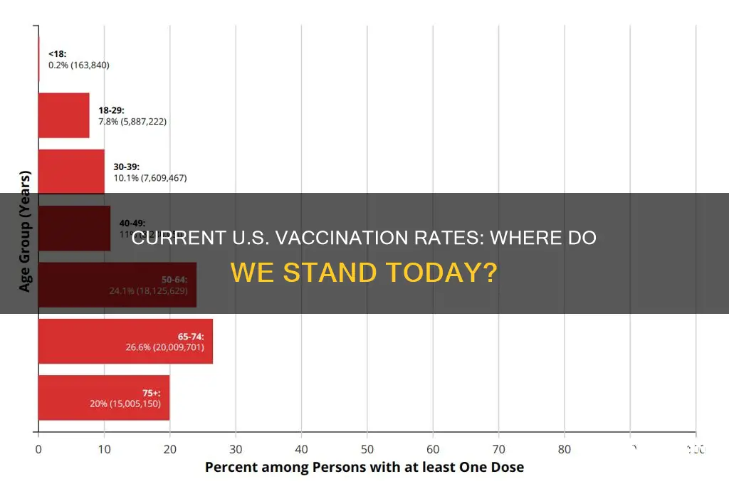 what is the current vaccination level in the united states