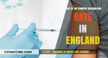 England's Vaccination Progress: Current Rates and Key Insights