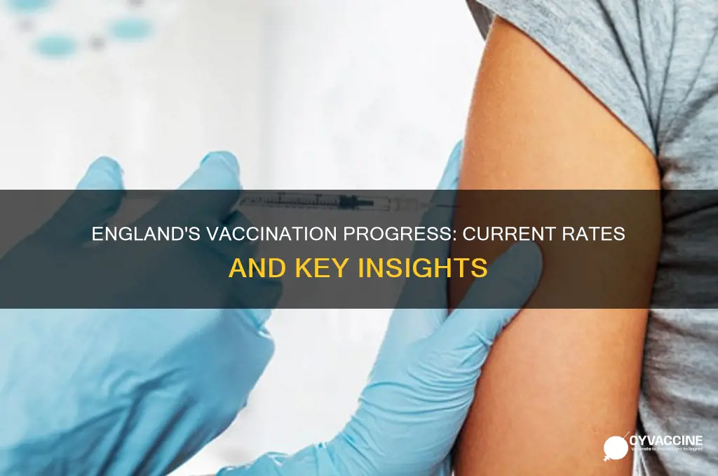 what is the current vaccination rate in england