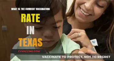 Texas Vaccination Rates: Current Trends and Public Health Insights