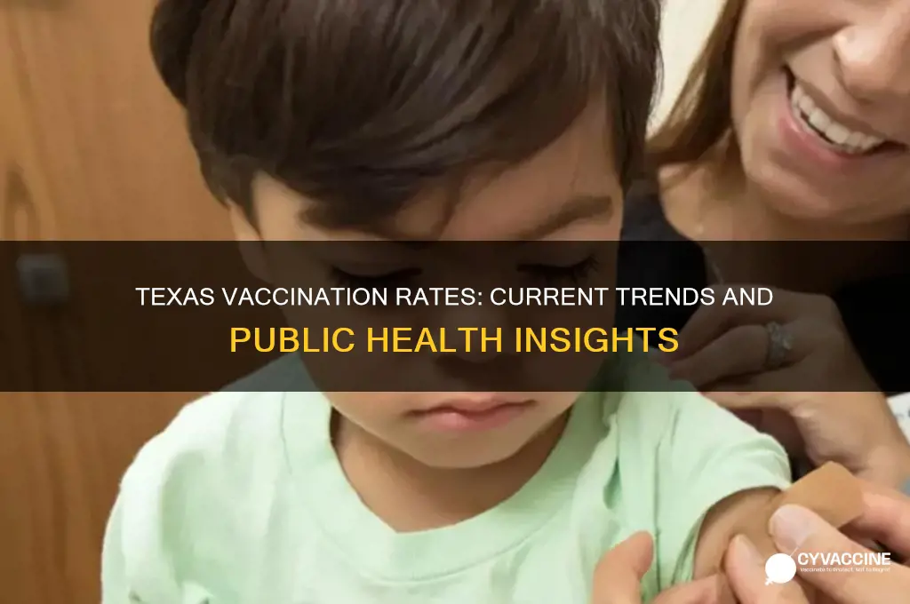 what is the current vaccination rate in texas