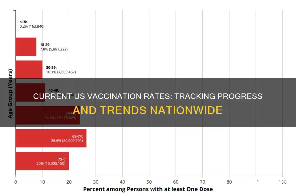 what is the current vaccination rate in usa