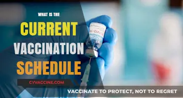 Understanding the Latest Vaccination Schedule: A Comprehensive Guide for All Ages