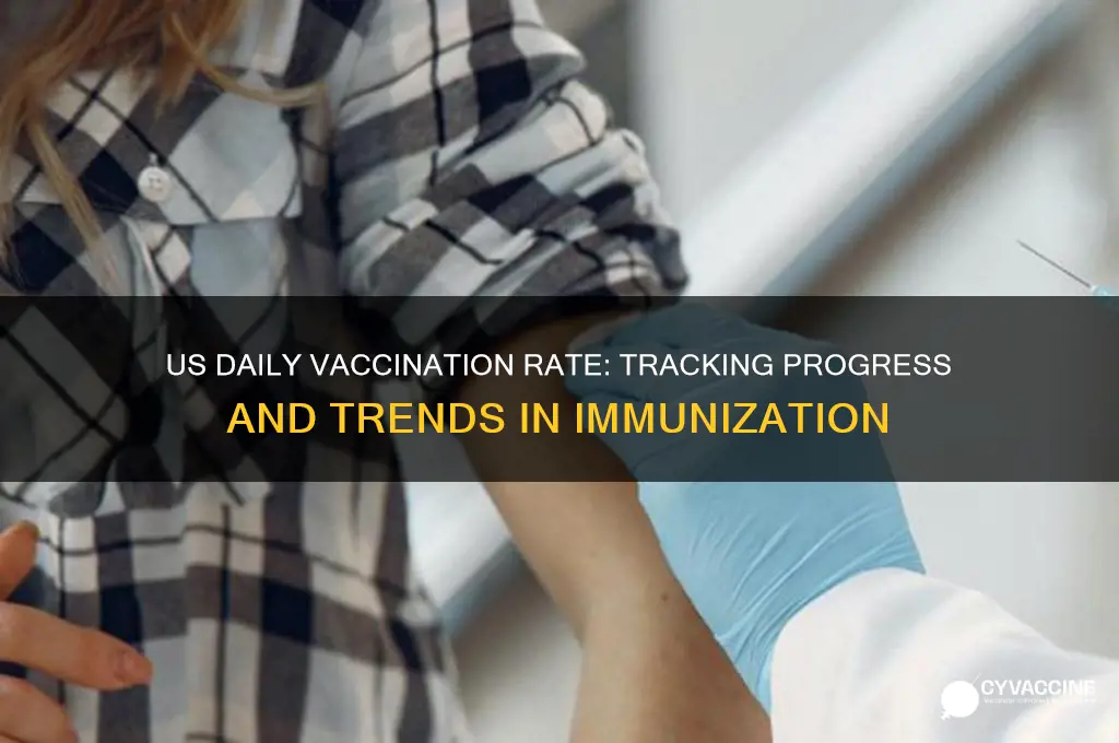 what is the daily vaccination rate in us
