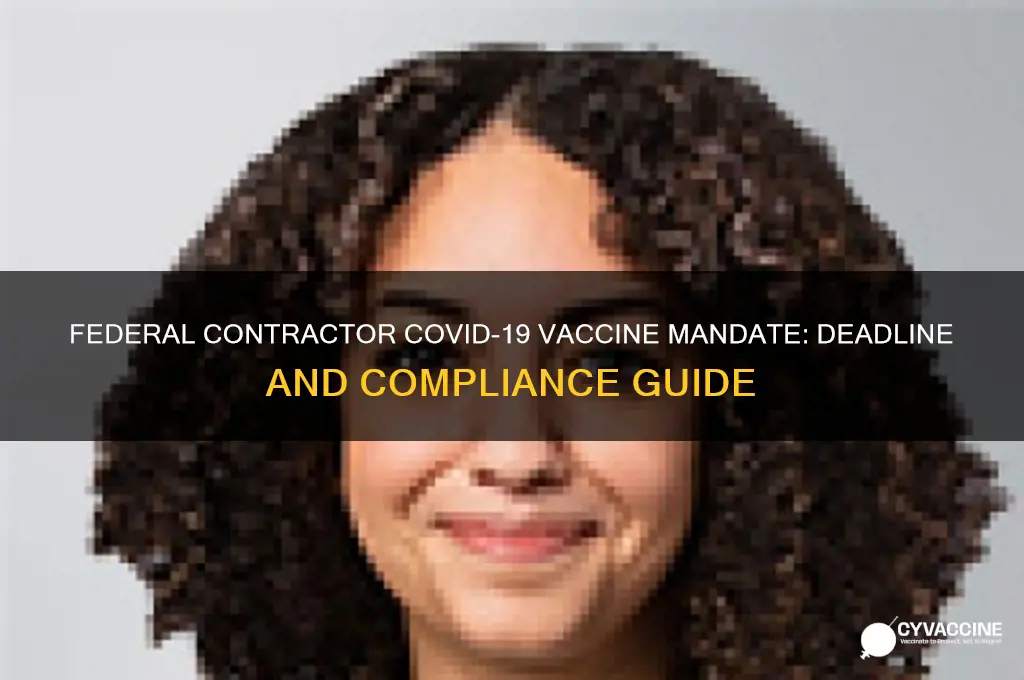 what is the deadline for federal contractors to be vaccinated