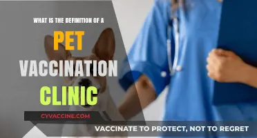 Understanding Pet Vaccination Clinics: Essential Services for Your Furry Friends