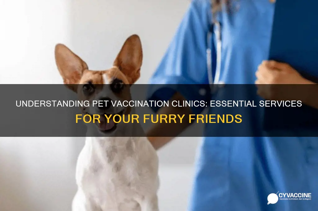 what is the definition of a pet vaccination clinic