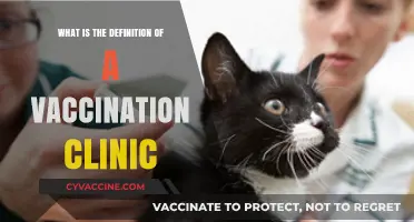 Understanding Vaccination Clinics: Definition, Purpose, and Essential Services