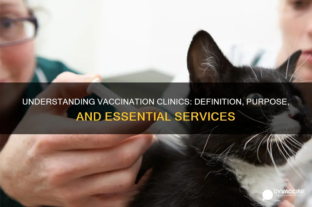 what is the definition of a vaccination clinic