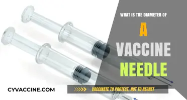 Understanding Vaccine Needle Diameters: A Comprehensive Guide for Patients