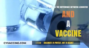 Boosters vs. Vaccines: Understanding Their Unique Roles in Immunity