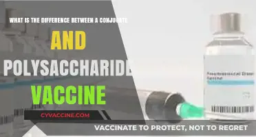 Conjugate vs. Polysaccharide Vaccines: Key Differences Explained