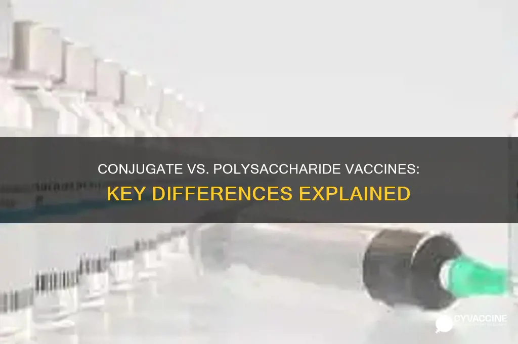 what is the difference between a conjugate and polysaccharide vaccine