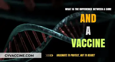 Cure vs. Vaccine: Understanding the Key Differences and Purposes