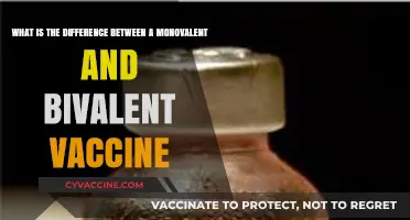 Monovalent vs. Bivalent Vaccines: Understanding Their Key Differences