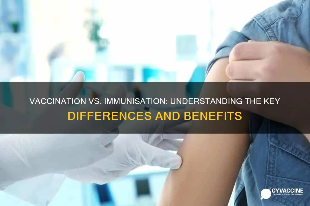 what is the difference between a vaccination and an immunisation