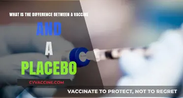 Vaccines vs. Placebos: Understanding the Key Differences and Purposes