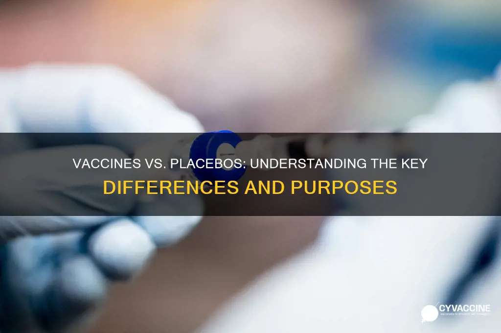 what is the difference between a vaccine and a placebo