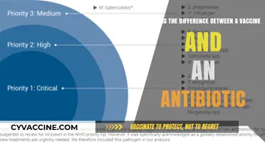 Vaccines vs Antibiotics: A Quick Comparison