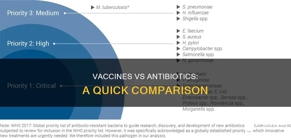 what is the difference between a vaccine and an antibiotic