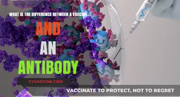 Vaccines vs. Antibodies: Understanding Their Unique Roles in Immunity
