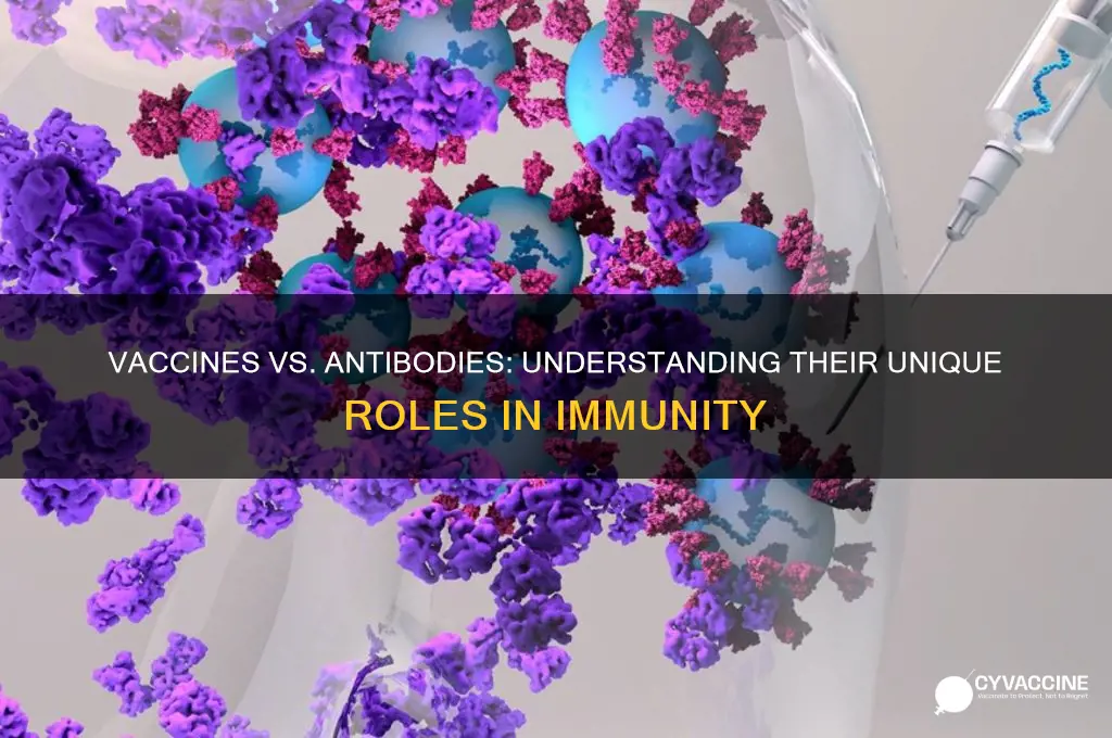 what is the difference between a vaccine and an antibody