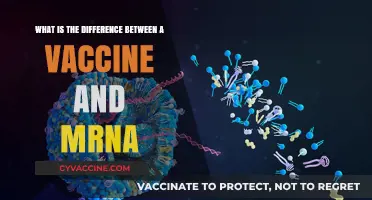 Vaccines vs. mRNA: Understanding the Key Differences and Benefits