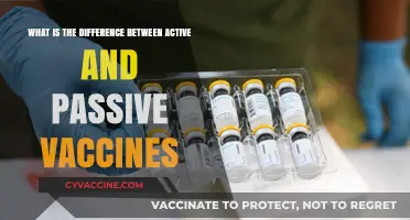 Active vs. Passive Vaccines: Understanding Key Differences and Immunization Methods