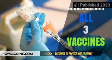 Comparing COVID-19 Vaccines: Pfizer, Moderna, and Johnson & Johnson Differences