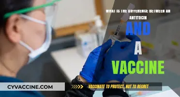 Antitoxins vs. Vaccines: Understanding Their Unique Roles in Immunity