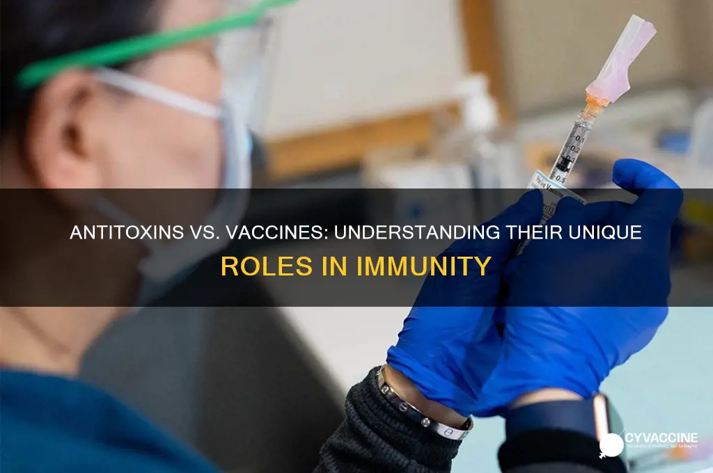 what is the difference between an antitocin and a vaccine