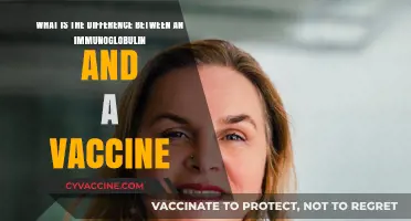 Immunoglobulins vs. Vaccines: Understanding Their Unique Roles in Immunity