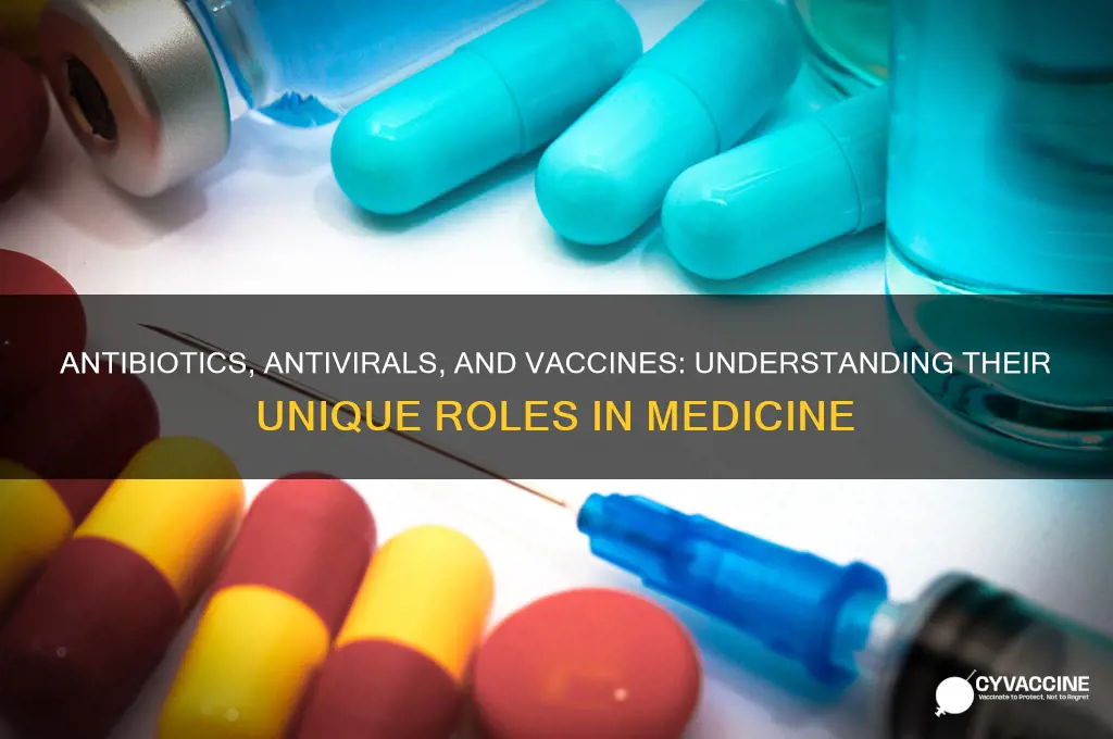 what is the difference between antibiotics antiviral drugs and vaccines