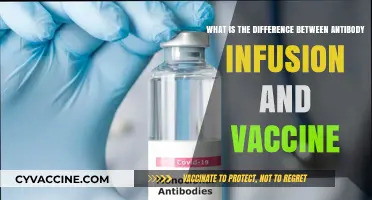Antibody Infusion vs. Vaccine: Key Differences Explained Simply