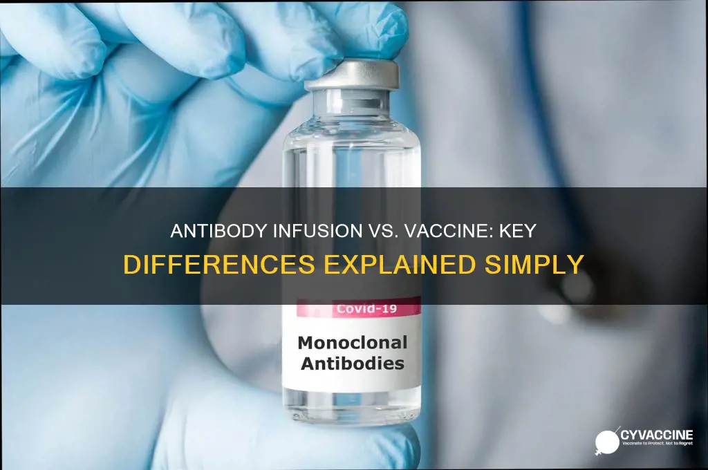 what is the difference between antibody infusion and vaccine