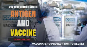 Antigen vs. Vaccine: Understanding the Key Differences and Roles