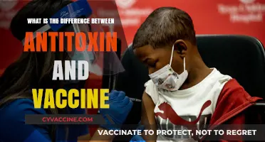 Antitoxin vs. Vaccine: Understanding Their Unique Roles in Immunity