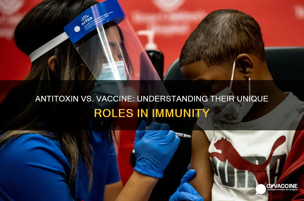 what is the difference between antitoxin and vaccine