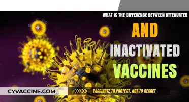 Attenuated vs. Inactivated Vaccines: Understanding the Key Differences