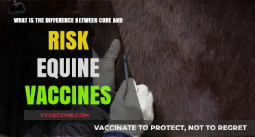 Core vs. Risk Equine Vaccines: Understanding Essential Differences for Horse Health